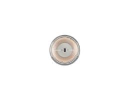 AR111 EVO DIM